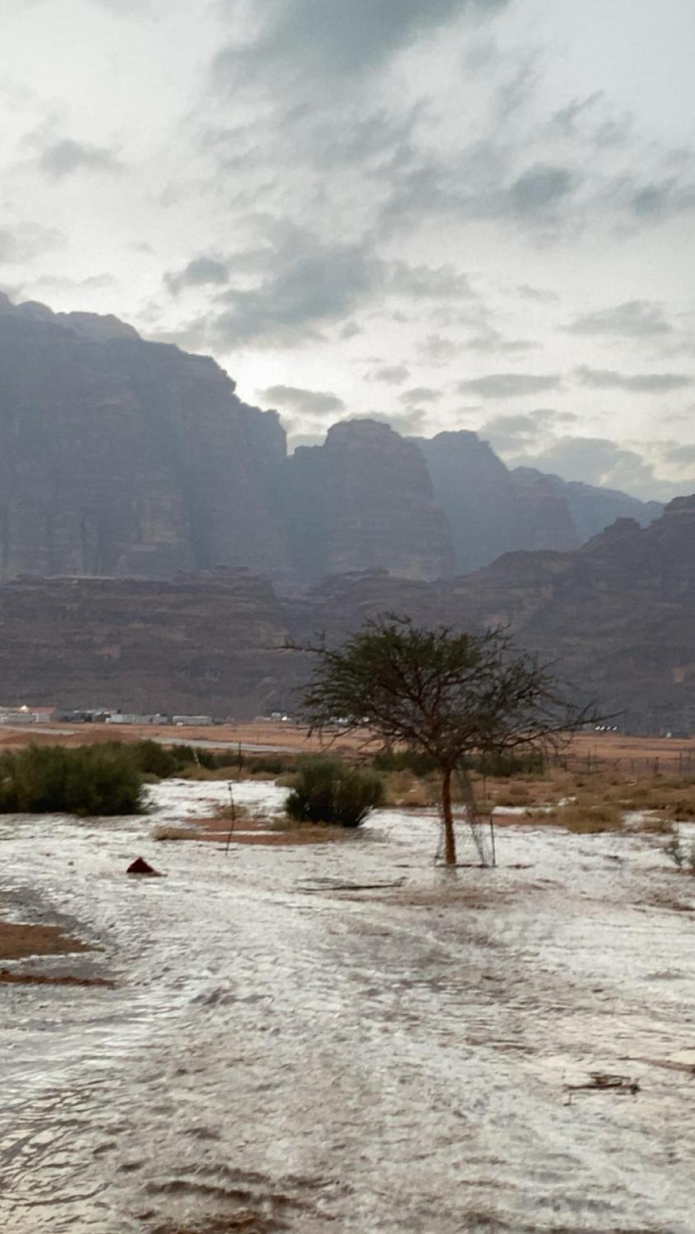 Wadirum Zeid Camp&Tours Wadi Rum Exterior foto